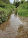 Открыть во весь экран