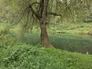 Открыть во весь экран