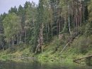 Открыть во весь экран
