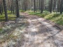 Открыть во весь экран