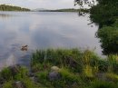 Открыть во весь экран